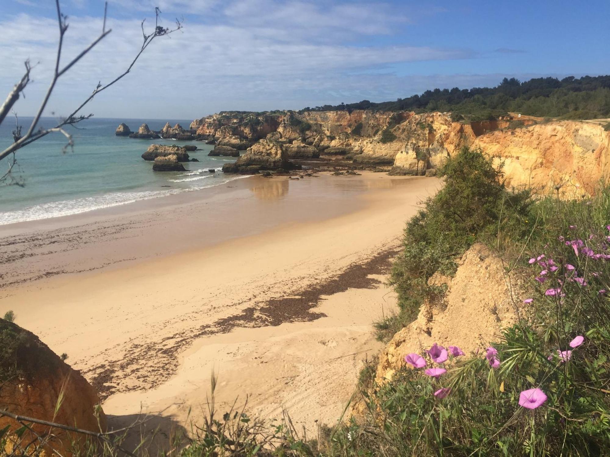 Casa Tres Palmeiras Portimao Ngoại thất bức ảnh
